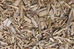 biomass boilers Ardheisker